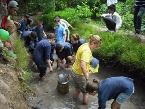 Tát mương bắt cá