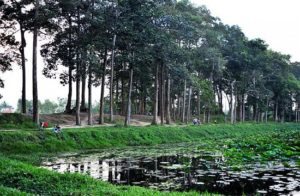 Một góc ao Bà Om