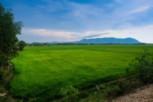 Cảnh đẹp An Giang trong Tour Cần Thơ – Châu Đốc – Hà Tiên