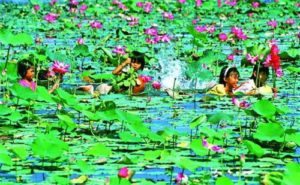 Gáo Giồng - Địa điểm tham quan ở Cao Lãnh