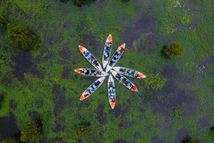 Cảnh đẹp Rừng Tràm Trà Sư