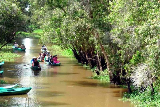 tour-dong-thap-1-ngay-3