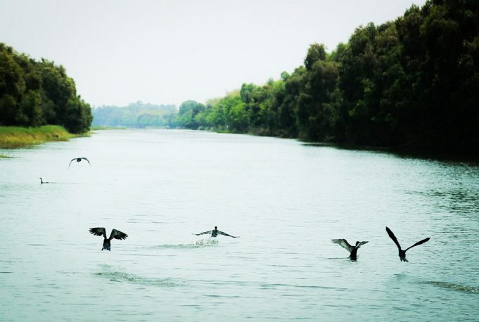 tour-dong-thap-tram-chim-tam-nong-1-ngay-2