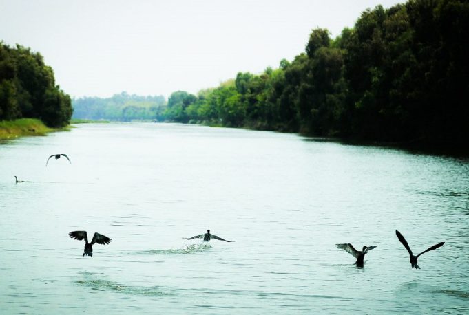 tour-du-lich-dong-thap-2-ngay-1-dem-4