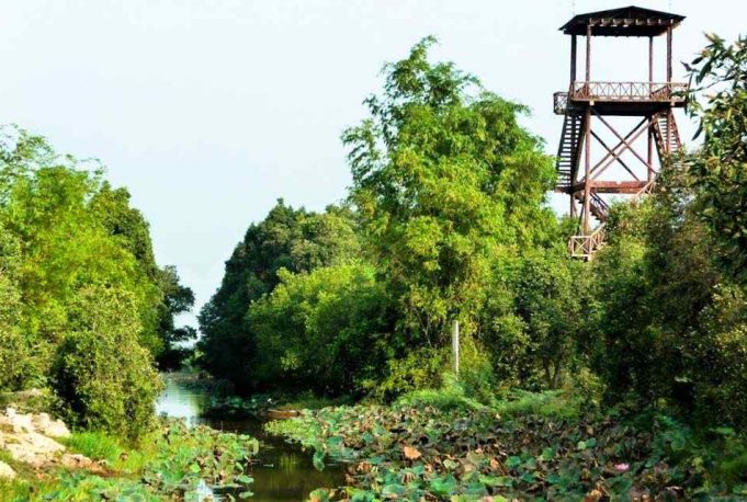 tour-du-lich-dong-thap-2-ngay-1-dem-5