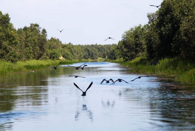 tour-du-lich-dong-thap-2-ngay-1-dem-7